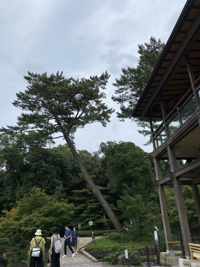【名古屋旅行】大阪から車で行った場合。おすすめの観光名所を巡る旅行プラン/徳川園/長い木
