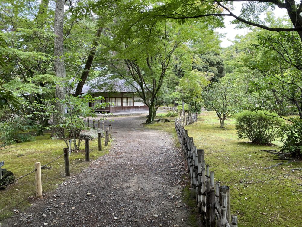 【名古屋旅行】大阪から車で行った場合。おすすめの観光名所を巡る旅行プラン/名古屋城/庭園