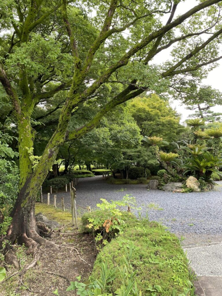 【名古屋旅行】大阪から車で行った場合。おすすめの観光名所を巡る旅行プラン/名古屋城/きれいな庭園