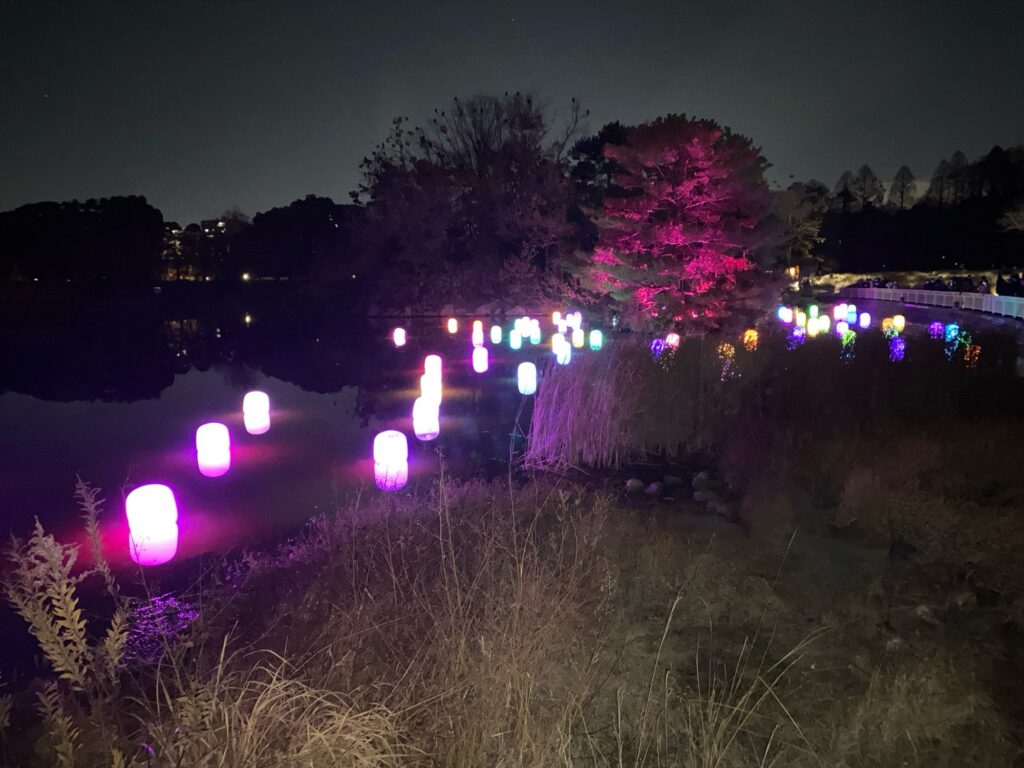 チームラボ ボタニカルガーデン大阪 感想/湖のランプ/赤紫の光