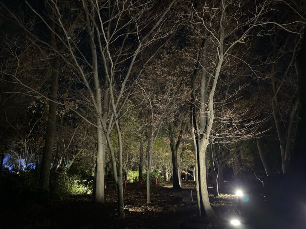 チームラボ ボタニカルガーデン大阪 感想/あいだ、真ん中の幻想的な森 明るい