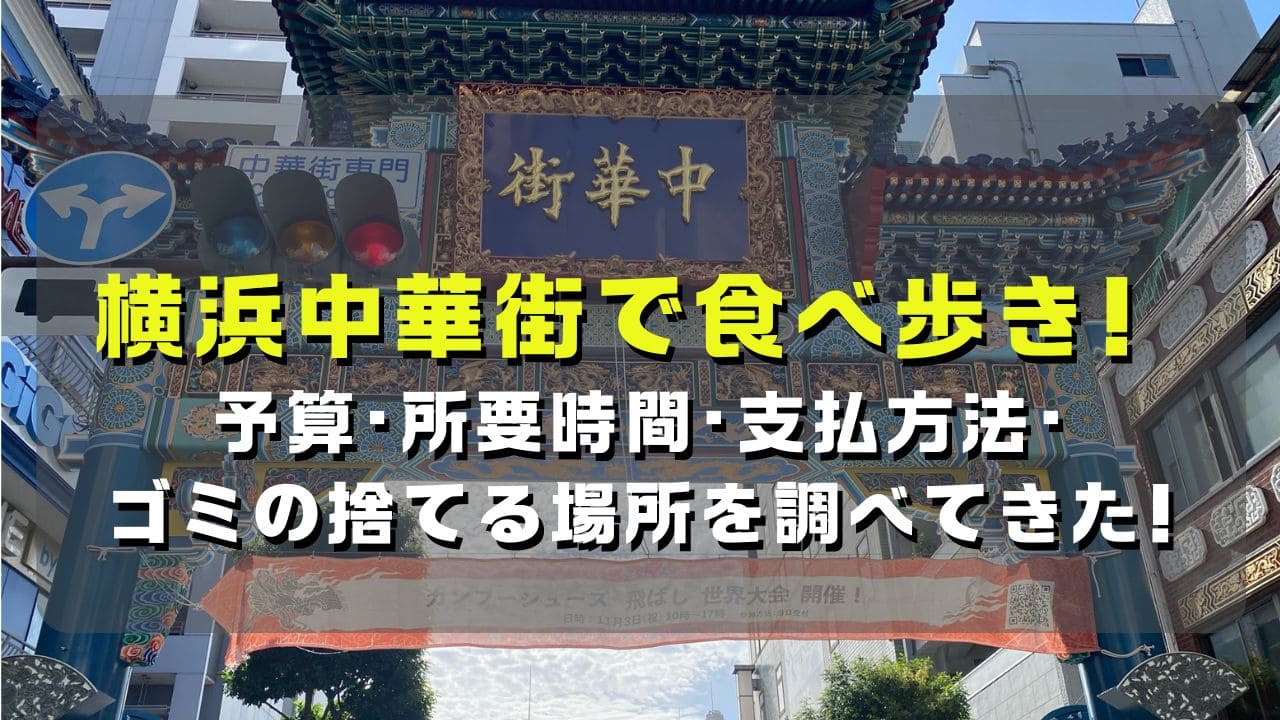 マコブロのサムネ (横浜中華街で食べ歩きしてきた！予算･所要時間･支払方法･ゴミの捨てる場所を調べてきた！)