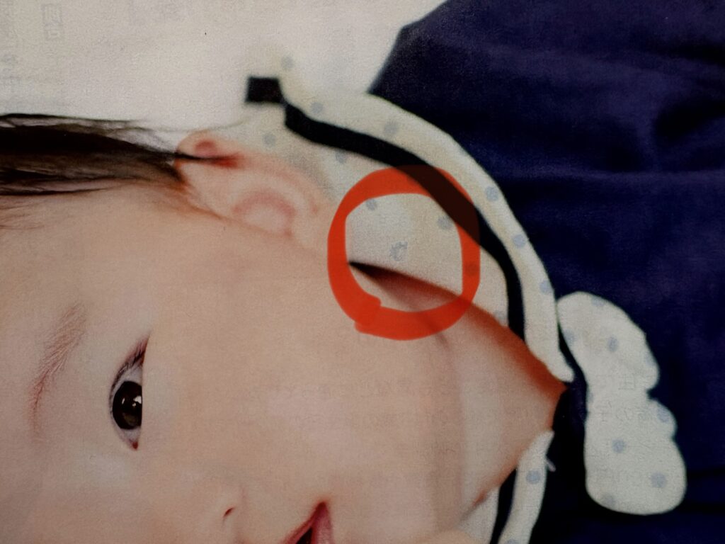 【簡単】大東市広報「ダイトンをさがせ！2025年12月号」問題と答え